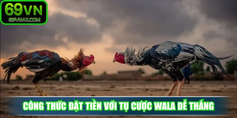Công thức đặt tiền với tụ cược Wala dễ thắng