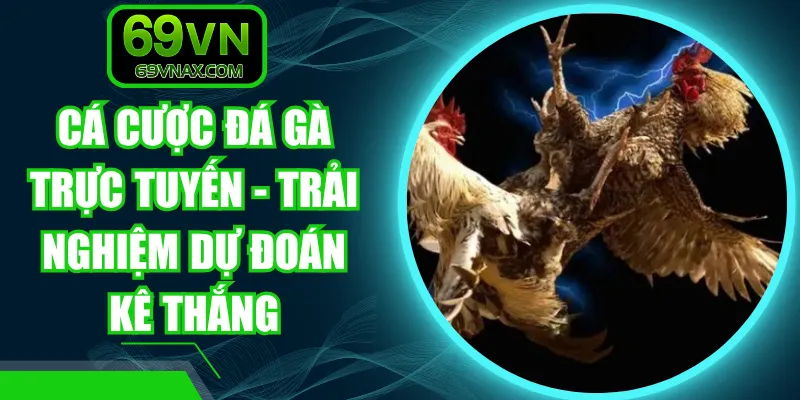Cá Cược Đá Gà Trực Tuyến - Trải Nghiệm Dự Đoán Kê Thắng
