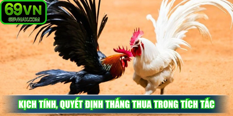 Đấu trường kịch tính, quyết định thắng thua trong tích tắc