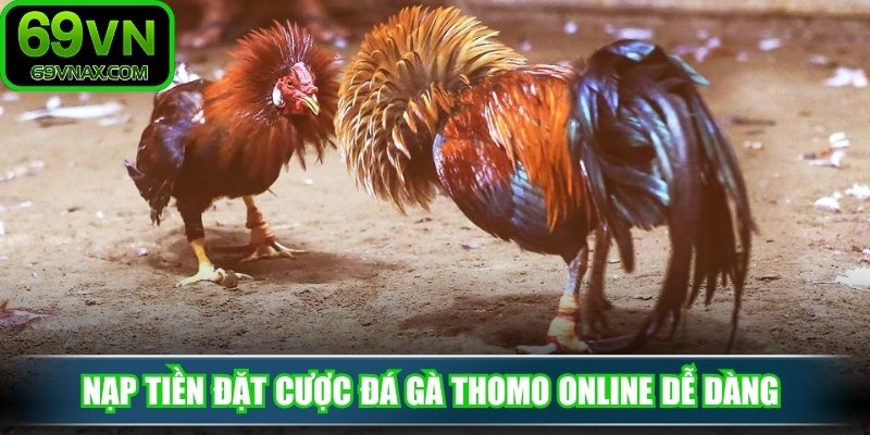Nạp tiền đặt cược đá gà thomo online dễ dàng