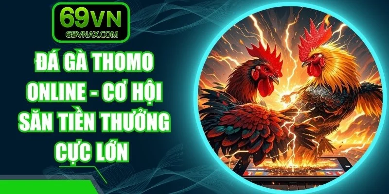 Đá Gà Thomo Online - Cơ Hội Săn Tiền Thưởng Cực Lớn