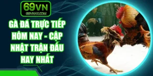 Gà Đá Trực Tiếp Hôm Nay - Cập Nhật Trận Đấu Hay Nhất