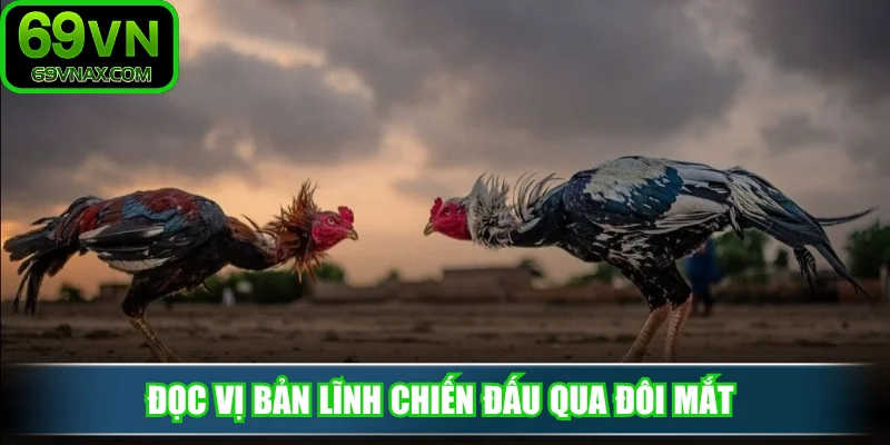 Đọc vị bản lĩnh chiến đấu qua đôi mắt