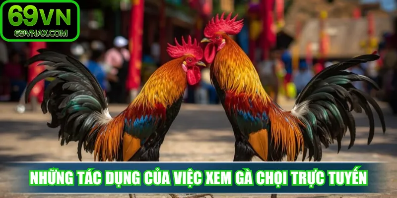 Những tác dụng của việc xem gà chọi trực tuyến